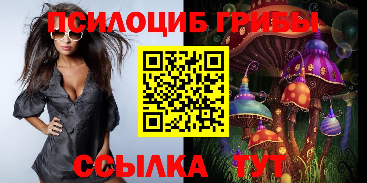 Галлюциногенные грибы Cubensis Стрежевой